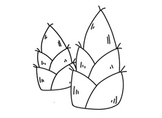 ��S��(ji��n)�P���DƬ