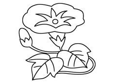 ��ţ�����P���DƬ