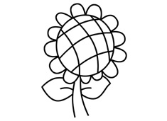 ���տ����P�����E����