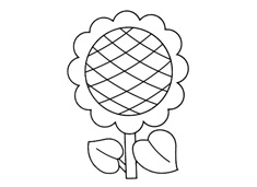 ���տ����P���DƬ