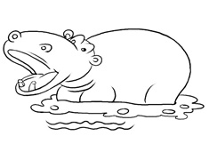 ����R���P���DƬ