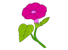 ���������P������ɫ�DƬ