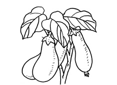 �L(zh��ng)�����ϵ����Ӻ�(ji��n)�P���DƬ