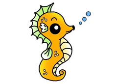 ���R���P���DƬ����ɫ