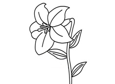 �ٺϻ���(ji��n)�P���DƬ