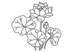 �ɻ����~���P���DƬ