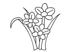 ����ˮ�ɻ����P���DƬ