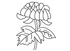 �ջ���(ji��n)�P��(hu��)�DƬ