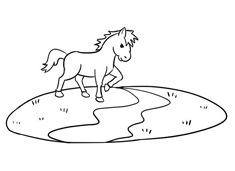 С�R�^�Ӻ��P���DƬ����ɫ