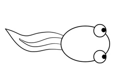 С��򽺆(ji��n)�P���DƬ����ɫ