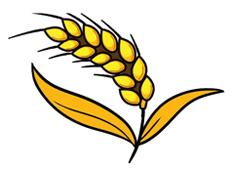 ���S�����뺆(ji��n)�P��(hu��)�DƬ