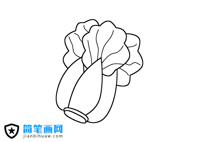 ��ײ˺��P���DƬ