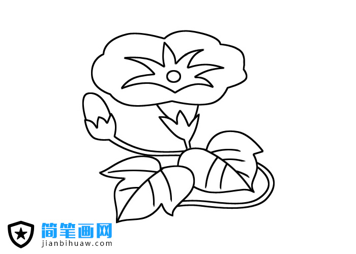 ���������P���DƬ