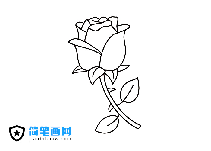 Ư����õ�廨���P���DƬ����ɫ