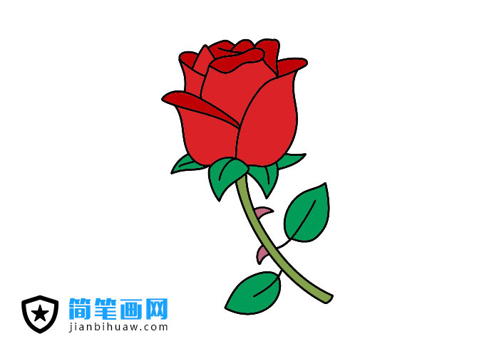 Ư����õ�廨���P���DƬ����ɫ