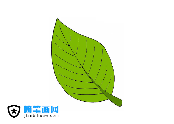 �G�~���P���DƬ����ɫ