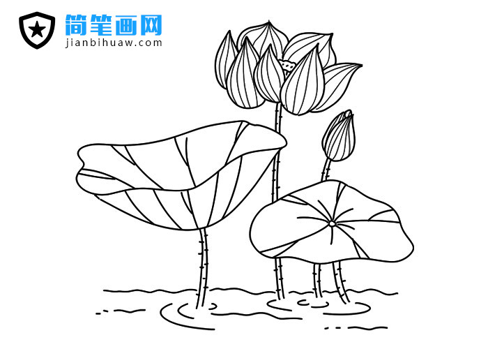 �ɻ���(ji��n)�P���DƬ