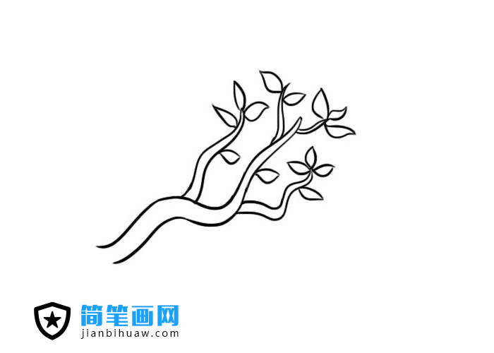 ���κî��Ę�֦���P���DƬ����ɫ