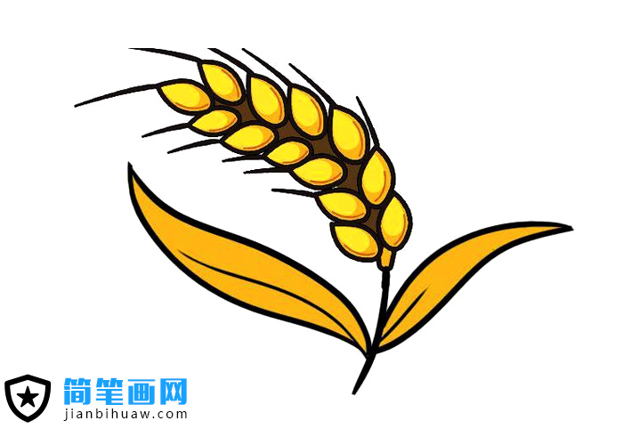 ���S�����뺆�P���DƬ