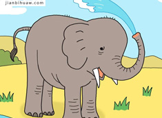 �����ñ�����ˮϴ��ĺ�(ji��n)�P��(hu��)