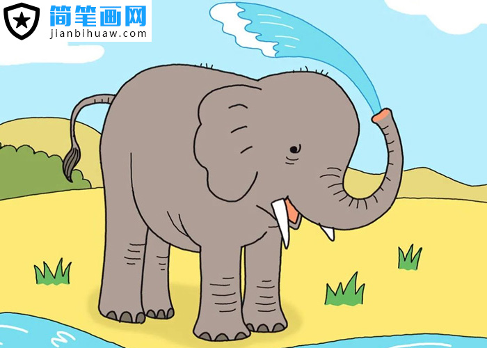 �����ñ�����ˮϴ��ĺ��P��